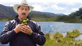 Colombia, ucciso il guardiano dei pappagalli: il primo omicidio ambientalista nel Paese andino