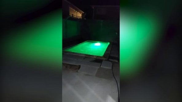 La scossa è talmente forte che fa uscire l'acqua dalla piscina di una casa in Cile