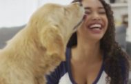 Il mondo visto con gli occhi degli animali: ecco come percepiscono le nostre case