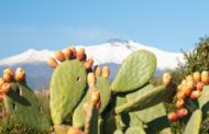 La fertile terra dell'Etna e i suoi (saporiti) gioielli
