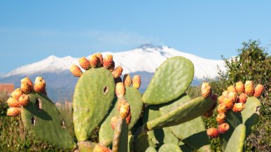 La fertile terra dell'Etna e i suoi (saporiti) gioielli