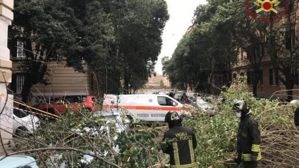 Alberi caduti a Roma, inchiesta per lesioni colpose