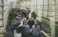 'Testimoni di Auschwitz', quindici storie a colori dall'efferato al sublime