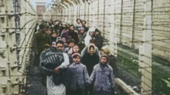 'Testimoni di Auschwitz', quindici storie a colori dall'efferato al sublime