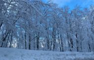 Continua a nevicare, la magia dell'Abetone sotto una coltre bianca
