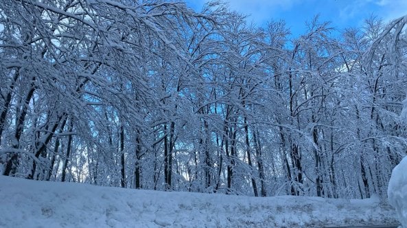 Continua a nevicare, la magia dell'Abetone sotto una coltre bianca