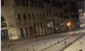 La strage di uccelli nella notte di Capodanno a Roma