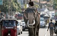 Sri Lanka. Riapertura slow al turismo internazionale. Non più di 2.500 ingressi al giorno e test molecolare