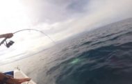Stanno pescando dalla barca ma uno squalo mangia l’esca: il finale lascia a bocca aperta