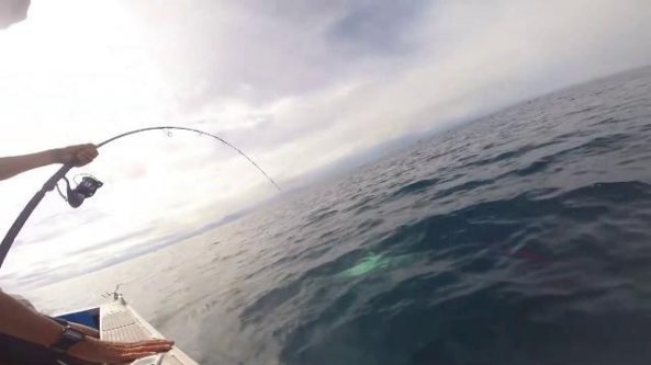 Stanno pescando dalla barca ma uno squalo mangia l’esca: il finale lascia a bocca aperta