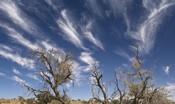 La Terra è sull'orlo di un drammatico cambiamento climatico?