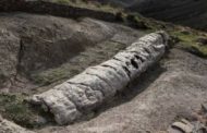 Grecia. Dalla foresta pietrificata di Lesbo emerge albero di 20 milioni di anni intatto. 
