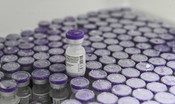 Solo in 6 regioni non ci saranno tagli nella distribuzione del vaccino Pfizer