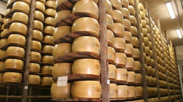 Parmigiano Reggiano promuove un progetto per il benessere dei più giovani