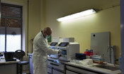 Un aiuto per combattere il Covid potrebbe venire dalle infezioni contratte in passato
