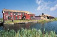Verso l'Argine Agosta e fin dove si apre l'orizzonte