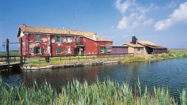 Verso l'Argine Agosta e fin dove si apre l'orizzonte