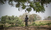 Sacerdote cattolico rapito e ucciso a colpi di machete in Nigeria