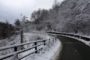 Il lockdown non ferma Mister Ok. Anche nel 2021 il tradizionale tuffo (anticipato) da Ponte Sisto