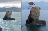Santa Margherita, la mareggiata cancella il pino della Carega dallo scoglio