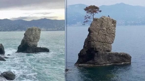 Santa Margherita, la mareggiata cancella il pino della Carega dallo scoglio