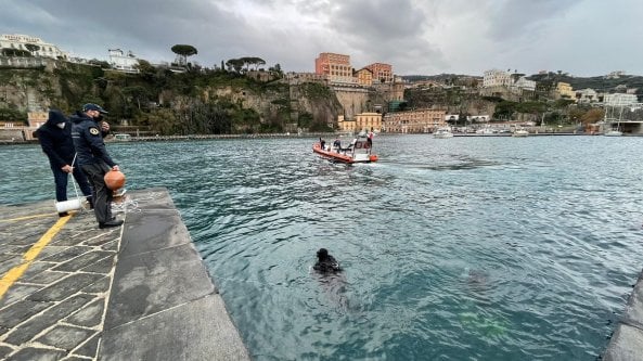 Sorrento, a uccidere la balenottera un virus simile al morbillo