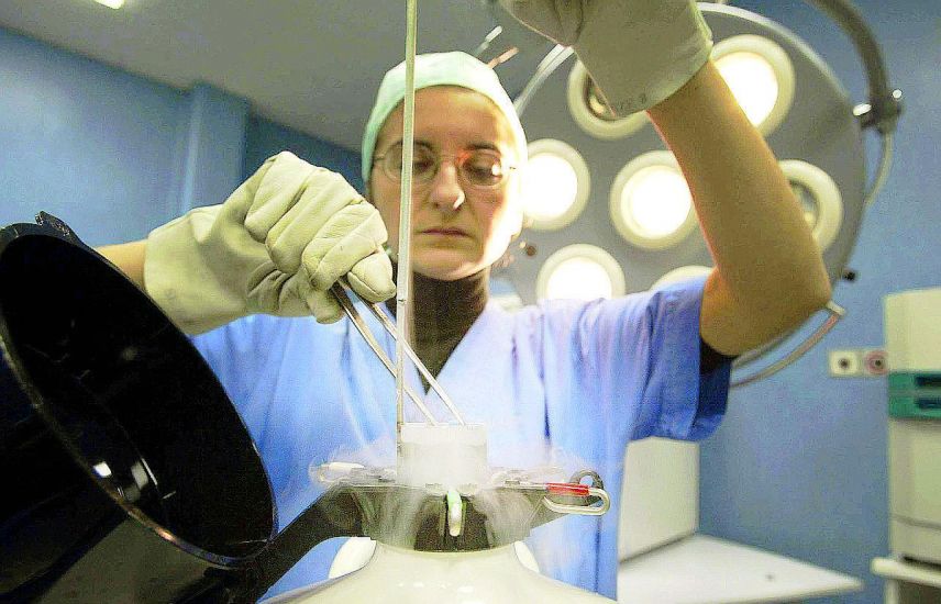 La Consulta frena la maternità surrogata: richiesta tutela bambini