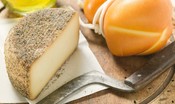 Il pecorino ha un segreto, e una ricerca universitaria lo ha scoperto