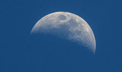 Frammenti di ossa di dinosauro potrebbero essere finiti sulla Luna?