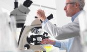  Ricerca: microbiota intestinale umano in 3D, è la prima volta che si realizza in laboratorio