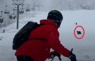 Lo sciatore inseguito dall'orso sulla pista: si salva lanciandogli lo zaino