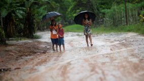 Brasile, Jair Bolsonaro cede sull'Amazzonia. Effetto Biden per l'ambiente