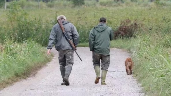 Covid, deroga per i cacciatori pugliesi:  possono spostarsi fra comuni in zona arancione. Gli ambientalisti: 