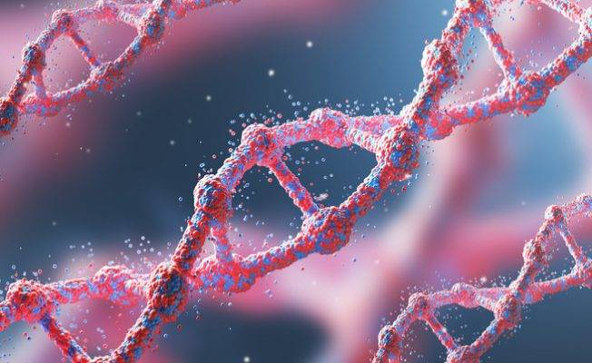 Quella banca nazionale del Dna che risolvere i 