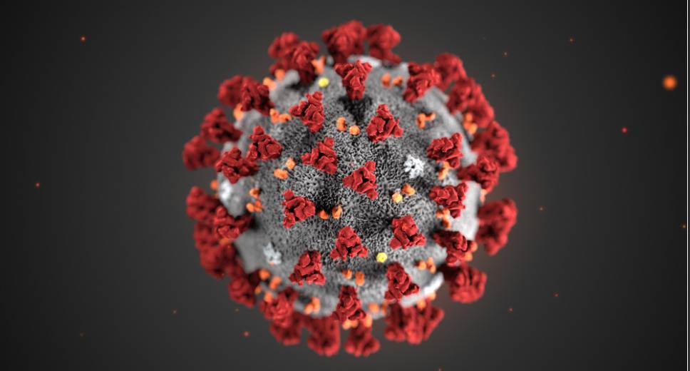 Così la vitamina D aiuta nella battaglia contro il Covid
