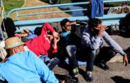 Ecco l'ultimo studio pro immigrati: ​