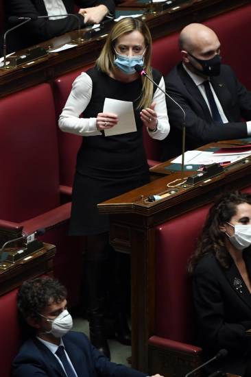 Dal Conte 