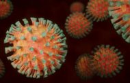 Covid, scoperto il ruolo delle cellule T nella durata dell'immunità