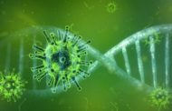 Covid, interrompere il suo RNA potrebbe fermarlo