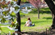Lupus, l'esposizione ai raggi UV peggiora i sintomi