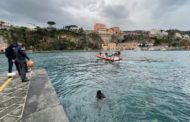 Sorrento, il giallo della balena morta: “Non è quella avvistata ieri”