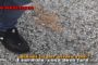Saluti romani in consiglio comunale a Cogoleto