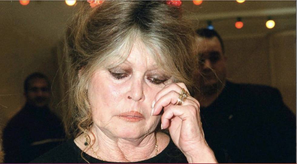 Brigitte Bardot fuori controllo: 