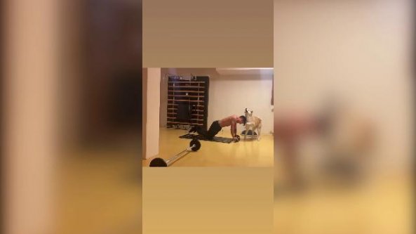 Paulo Dybala prova ad allenarsi anche a casa, ma il cane non è d'accordo