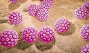 L'intensità del sesso orale aumenta le probabilità di cancro orofaringeo