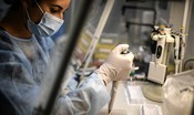Covid: 14.078 nuovi casi positivi e 521 decessi, il tasso di positività è al 5,2%