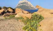 Costruire in  Sardegna, via libera alla nuova legge tra le polemiche
