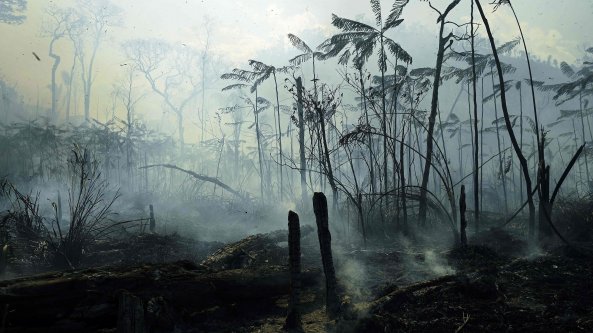 Amazzonia, 2020 anno nero: devastati 8.500 chilometri quadrati di foreste