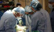 Per il Covid 400 trapianti in meno, si dimezzano i nuovi donatori