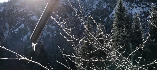 Freddo polare in Alto Adige
